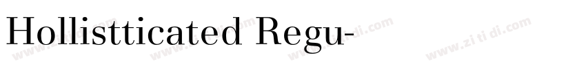 Hollistticated Regu字体转换